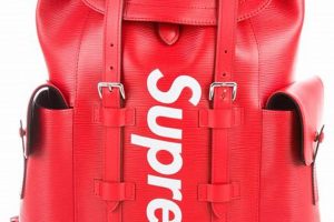Best LV Supreme Backpack [Gear] For Stylish Backpacker | Ultimate Backpack Traveler Guide: Tips, Destinations & Budget Hacks