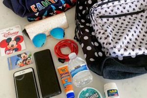Disneyland Backpack Rules: Can You Bring a Backpack to Disneyland? | Ultimate Backpack Traveler Guide: Tips, Destinations & Budget Hacks
