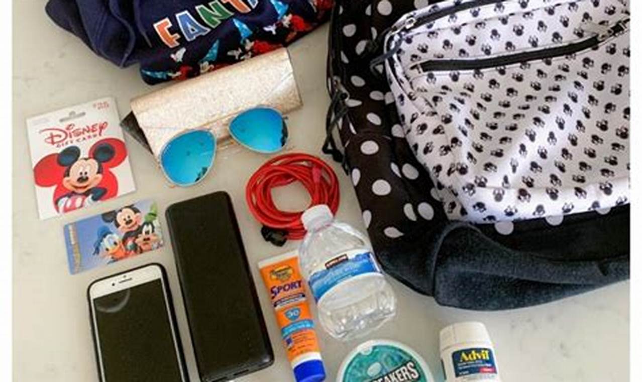 Disneyland Backpack Rules: Can You Bring a Backpack to Disneyland? | Ultimate Backpack Traveler Guide: Tips, Destinations & Budget Hacks