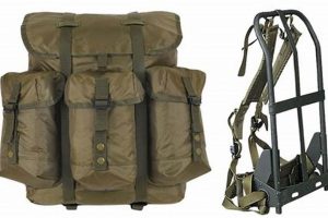 ALICE Backpack Frame: Military-Grade Support For Backpackers | Ultimate Backpack Traveler Guide: Tips, Destinations & Budget Hacks