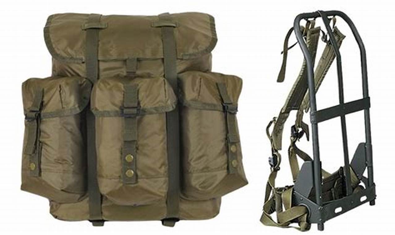 ALICE Backpack Frame: Military-Grade Support For Backpackers | Ultimate Backpack Traveler Guide: Tips, Destinations & Budget Hacks