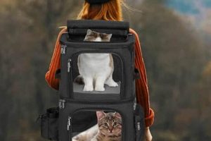 Best Large Cat Backpacks: Travel Safely & Comfortably | Ultimate Backpack Traveler Guide: Tips, Destinations & Budget Hacks