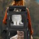 Best Large Cat Backpacks: Travel Safely & Comfortably | Ultimate Backpack Traveler Guide: Tips, Destinations & Budget Hacks