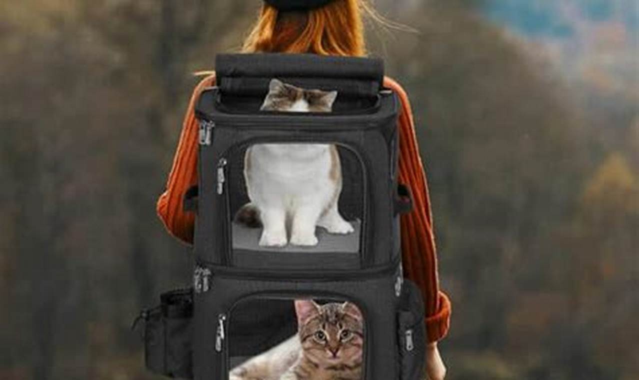 Best Large Cat Backpacks: Travel Safely & Comfortably | Ultimate Backpack Traveler Guide: Tips, Destinations & Budget Hacks