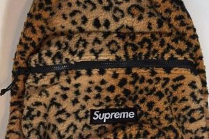 Cheetah Style: Supreme Backpack Guide for Backpackers | Ultimate Backpack Traveler Guide: Tips, Destinations & Budget Hacks