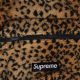 Cheetah Style: Supreme Backpack Guide for Backpackers | Ultimate Backpack Traveler Guide: Tips, Destinations & Budget Hacks
