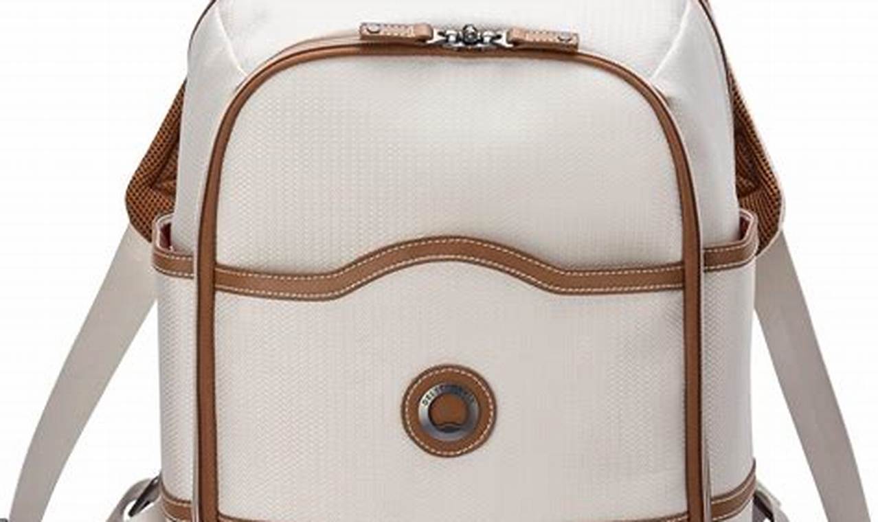 Best Delsey Backpack for Your Backpacker Needs (2024) | Ultimate Backpack Traveler Guide: Tips, Destinations & Budget Hacks