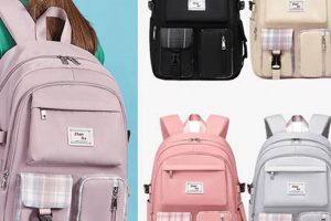 Stylish Korean Backpack: Your Travel Buddy! | Ultimate Backpack Traveler Guide: Tips, Destinations & Budget Hacks