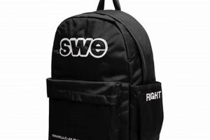 The Ultimate SWE Backpack: Coding on the Go! | Ultimate Backpack Traveler Guide: Tips, Destinations & Budget Hacks