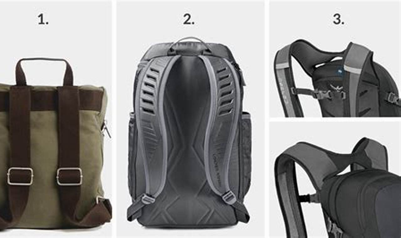 Best Backpack Shoulder Straps: Comfort & Support | Ultimate Backpack Traveler Guide: Tips, Destinations & Budget Hacks