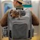 Best Doggy Backpack: Adventure Awaits! | Ultimate Backpack Traveler Guide: Tips, Destinations & Budget Hacks