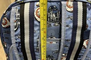 Pottery Barn Wheeled Backpack: Backpacker's Best Friend! | Ultimate Backpack Traveler Guide: Tips, Destinations & Budget Hacks