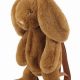 Best Bunny Backpacks: Carrier Guide & More! | Ultimate Backpack Traveler Guide: Tips, Destinations & Budget Hacks