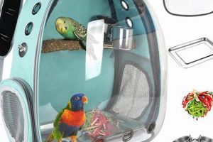 Travel Bird Backpacks: Safe &amp; Stylish Carriers | Ultimate Backpack Traveler Guide: Tips, Destinations & Budget Hacks