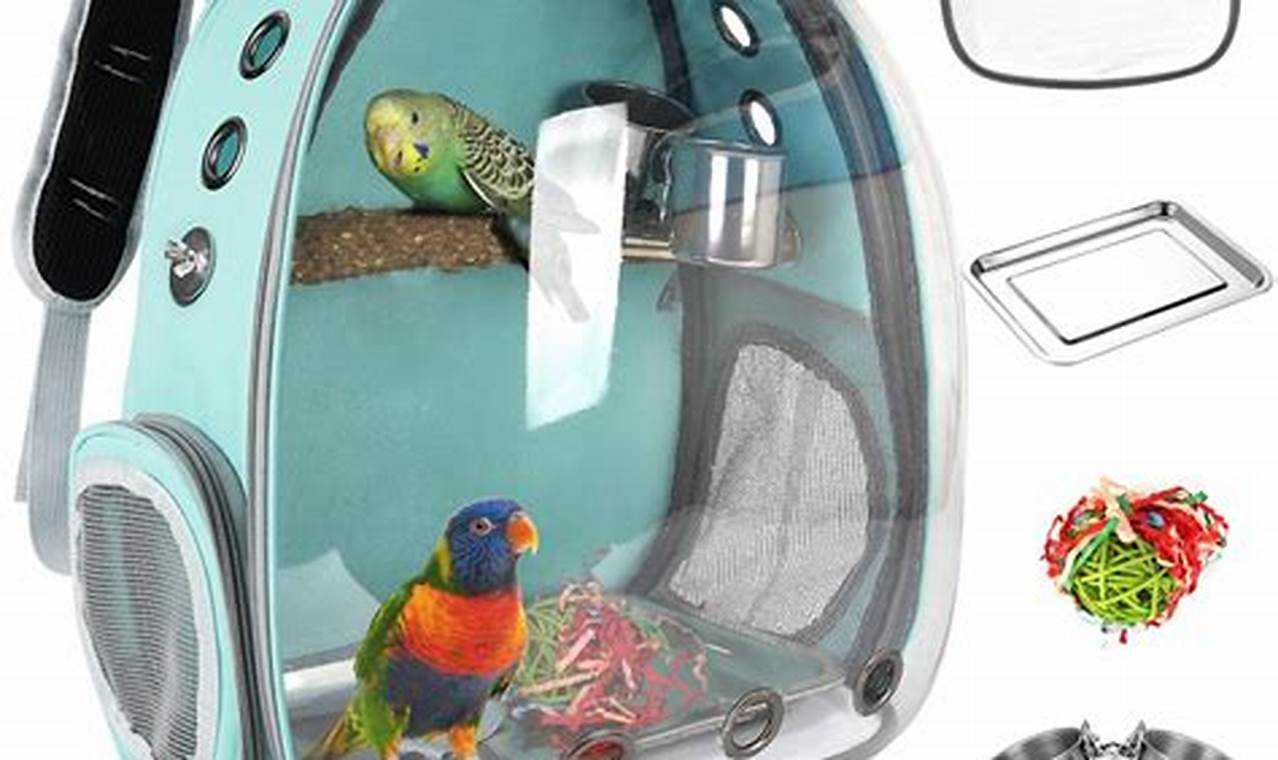Travel Bird Backpacks: Safe &amp; Stylish Carriers | Ultimate Backpack Traveler Guide: Tips, Destinations & Budget Hacks