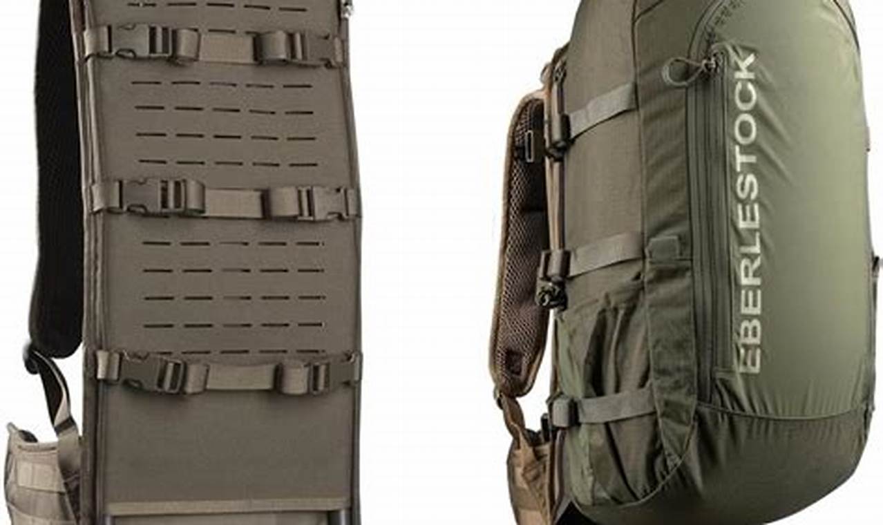 Eberlestock F1 Mainframe Backpack: Your Pack System Basecamp | Ultimate Backpack Traveler Guide: Tips, Destinations & Budget Hacks