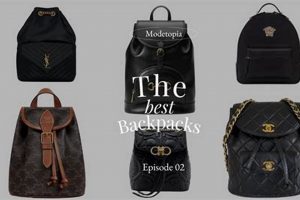 Premium High End Backpacks: Durable Backpacks for You | Ultimate Backpack Traveler Guide: Tips, Destinations & Budget Hacks