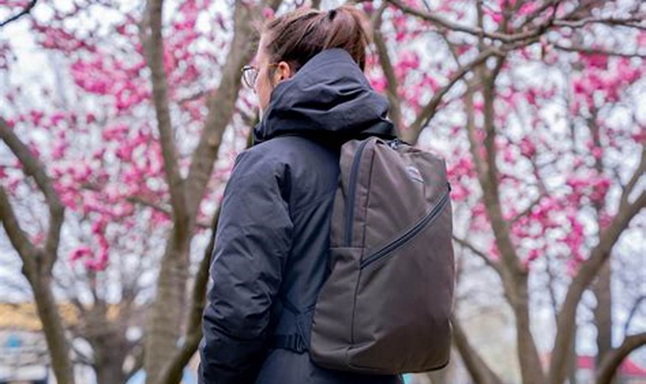 Tom Bihn Daylight Backpack: Your Ultra-Light Daypack | Ultimate Backpack Traveler Guide: Tips, Destinations & Budget Hacks