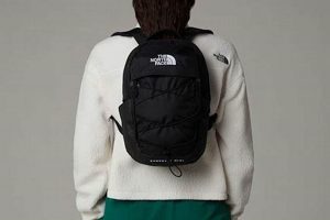 Best Northface Mini Backpack: Compact & Stylish! | Ultimate Backpack Traveler Guide: Tips, Destinations & Budget Hacks